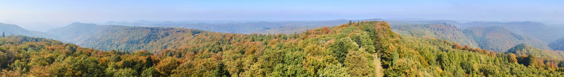 Slowfood-Pfälzerwald